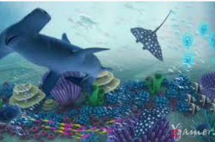 华体app官方下载入口最新版